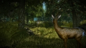thumb_The Witcher 2 (Xbox 360)