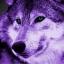 Purple Wolf