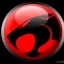 dimferrari3