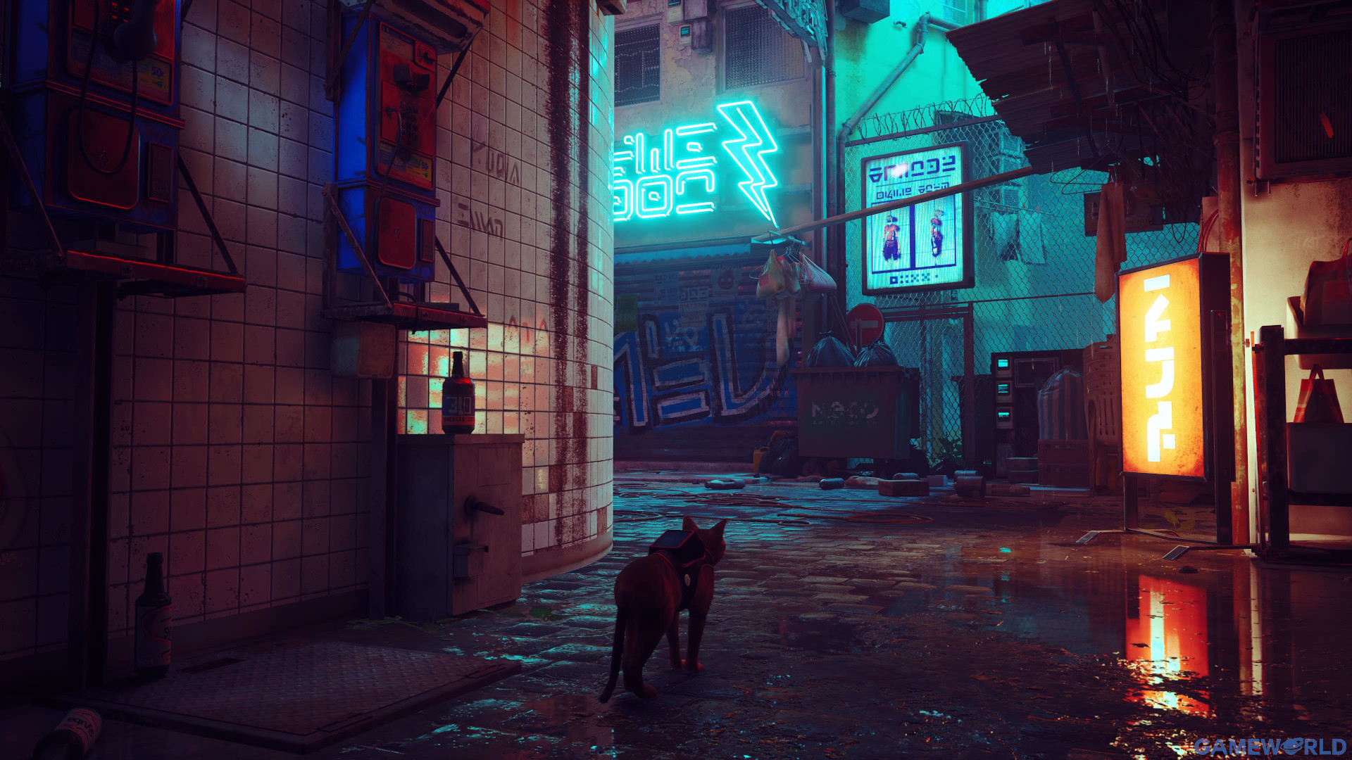 stray 1