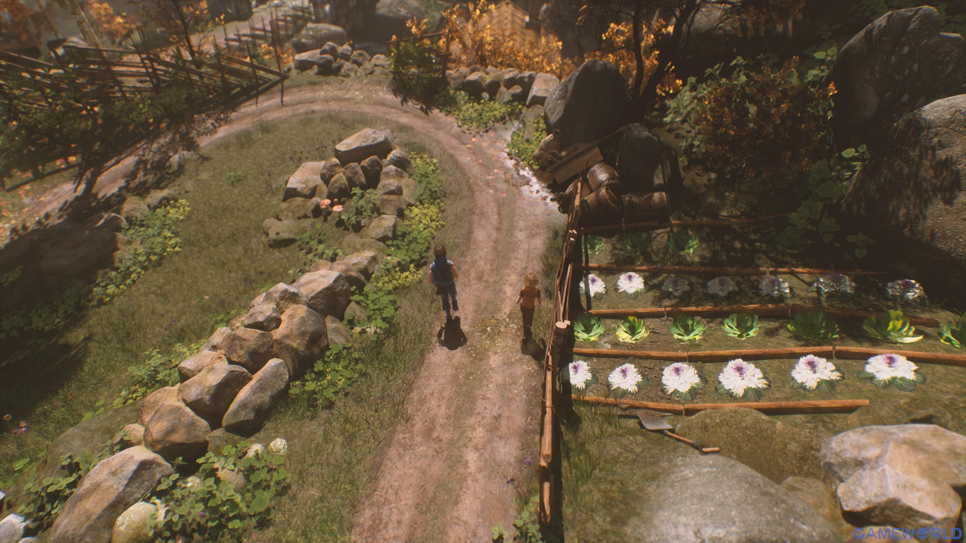 brothers a tale of two sons remake 1