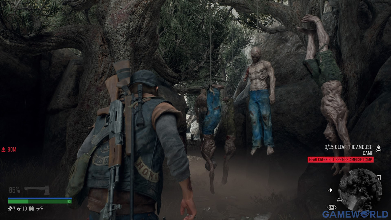 days gone 6