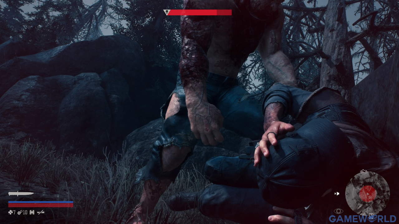 days gone 7