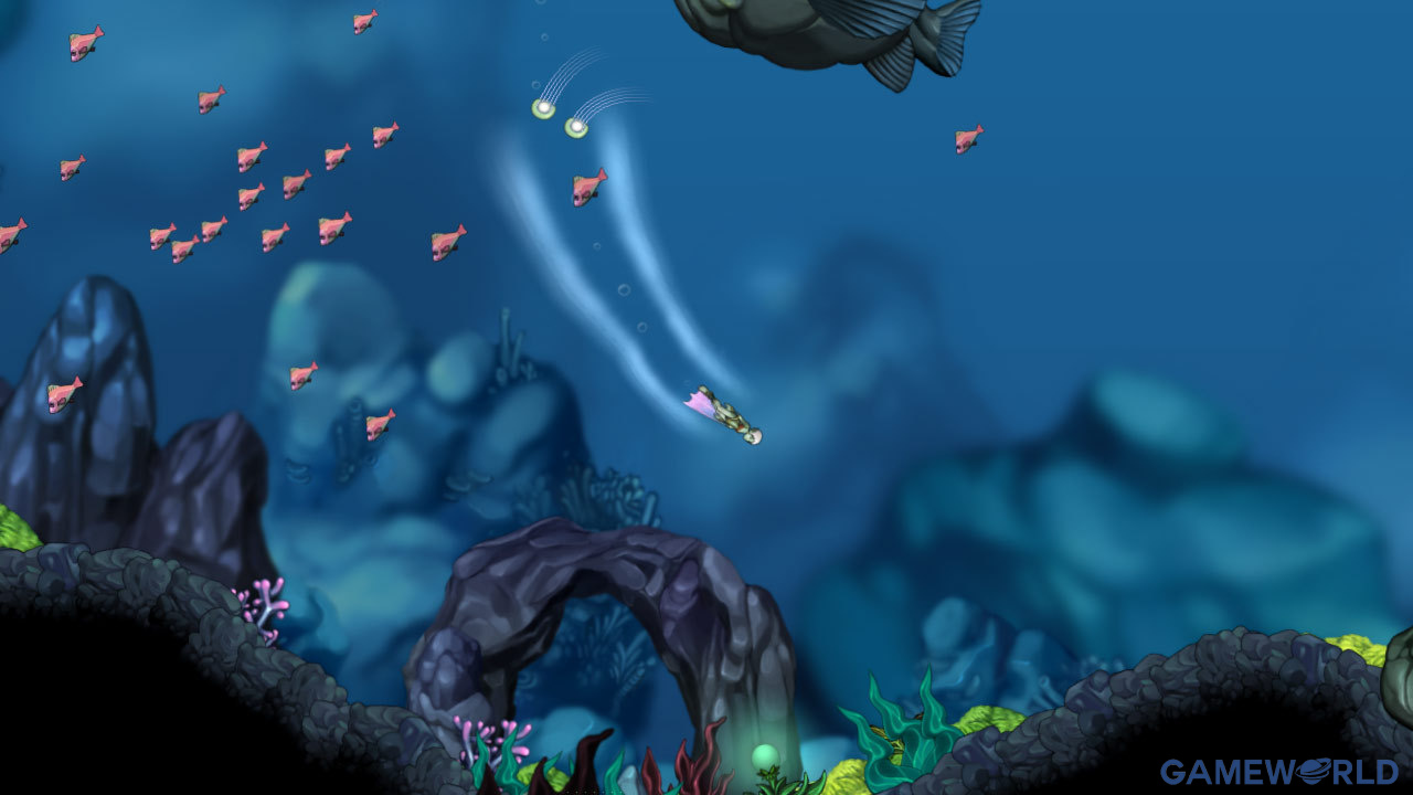 aquaria 1