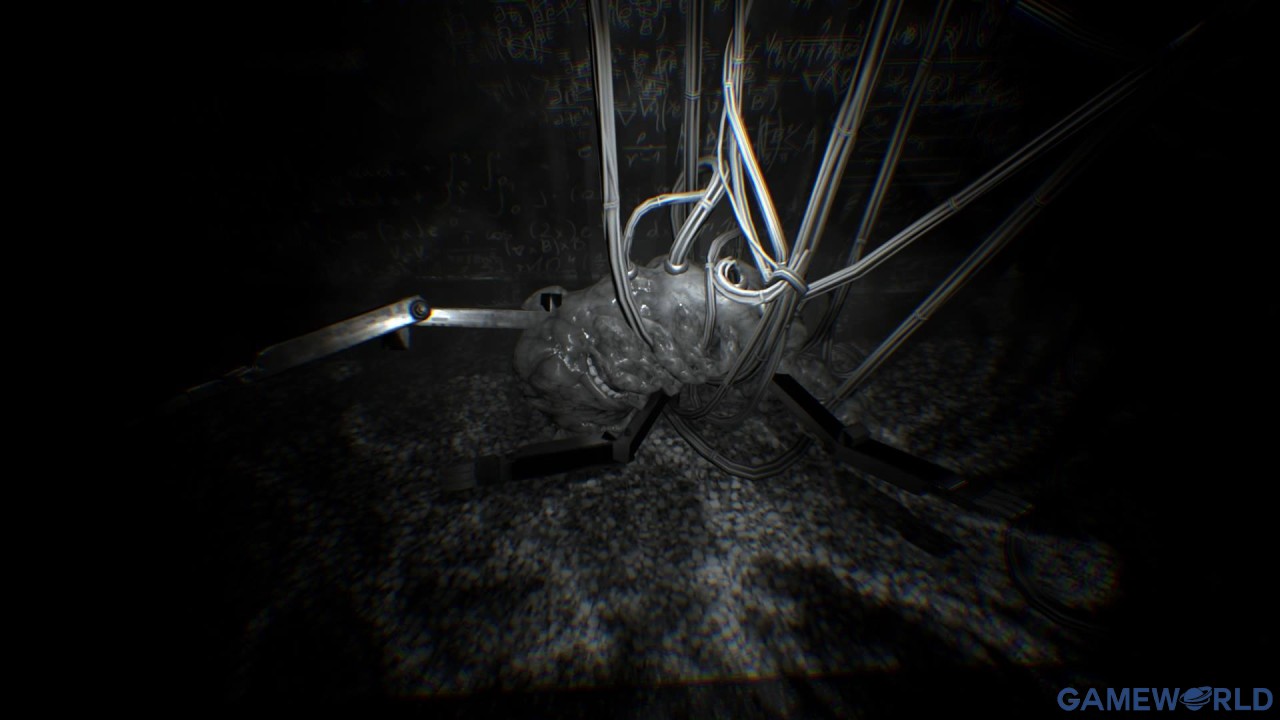 observer 3