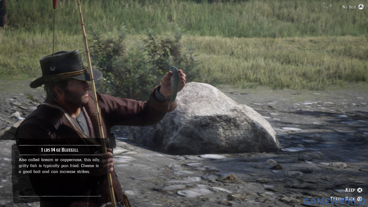 red dead redemption 2 11