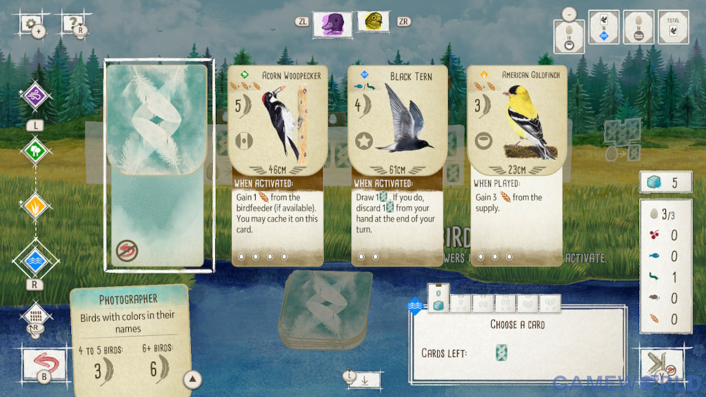 Wingspan 3