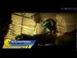 Deus Ex: Human Revolution Video Review