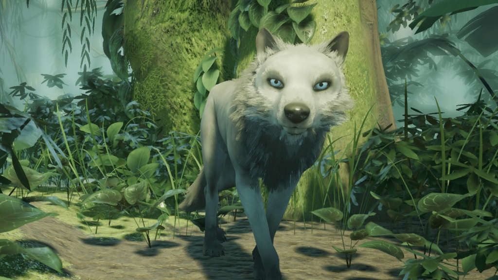 Lost Ember