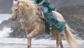 lord-of-the-rings-rings-of-power-horse-died